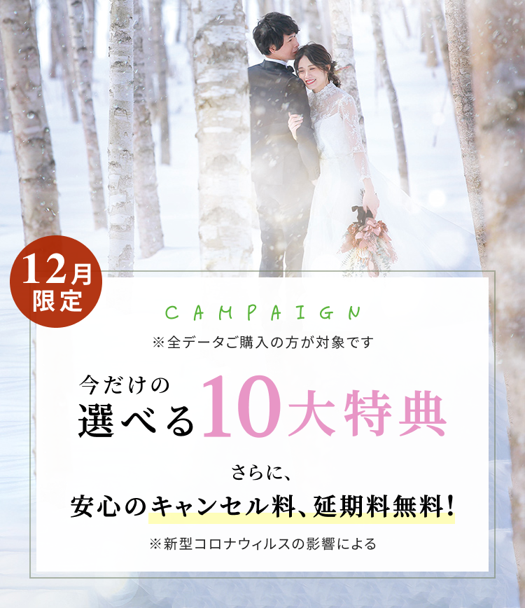 限定キャンペーン 今だけの選べる特典