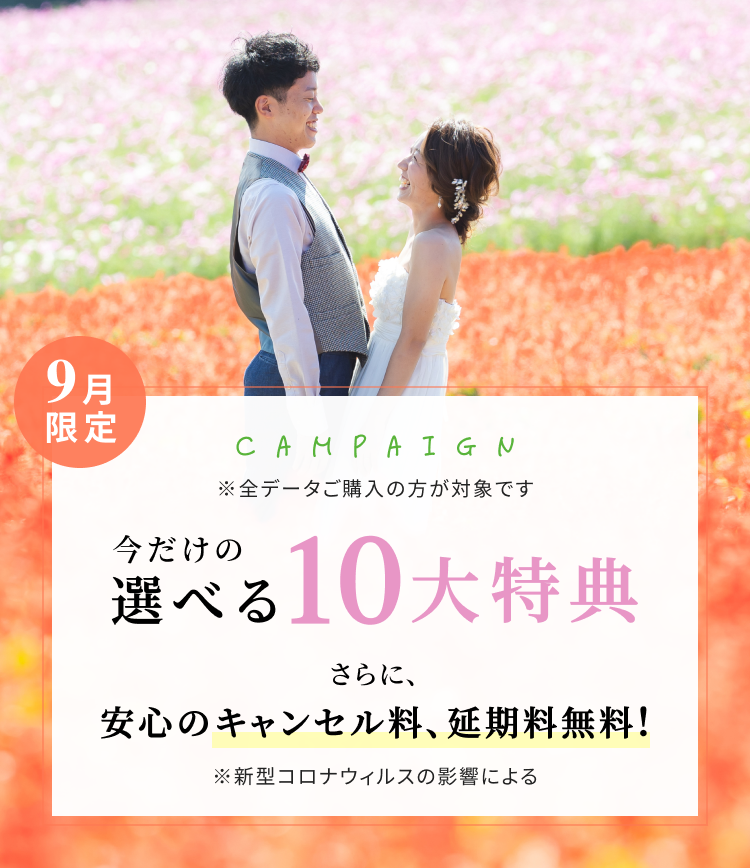 限定キャンペーン 今だけの選べる特典