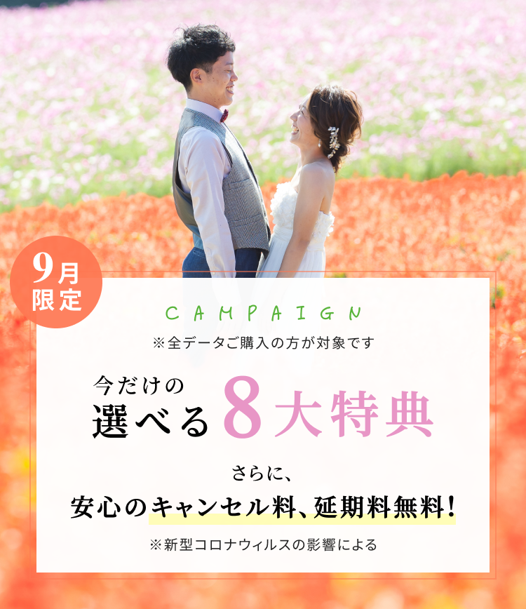 限定キャンペーン 今だけの選べる特典