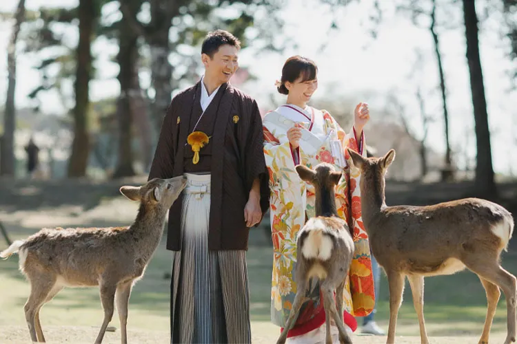 奈良公園ロケーション
