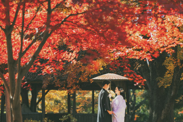 紅葉ロケーション