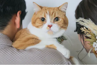 ペットと一緒に6