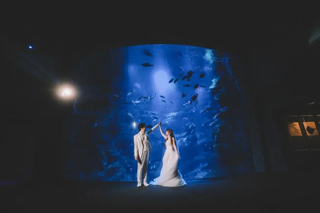 幻想的な海の祝福