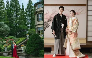 期間限定プラン