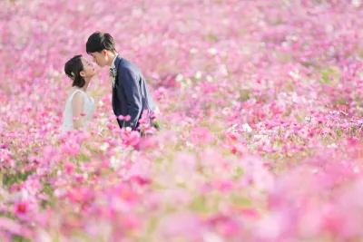 秋の花のロケーション撮影