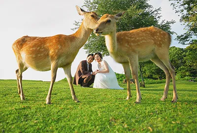 ロケーション撮影ギャラリー2