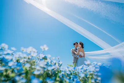 春の花（ネモフィラ）のロケーション撮影