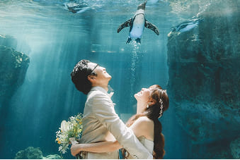 ロケーションギャラリー7