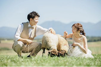 リゾートギャラリー2