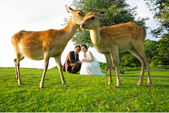 リゾートギャラリー4