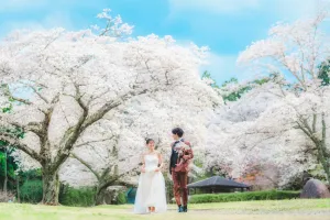 ソメイヨシノ 桜フォトウェディング