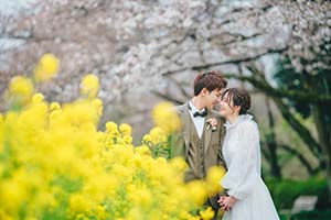 ソメイヨシノ 桜フォトウェディング