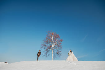 美瑛の丘ギャラリー5