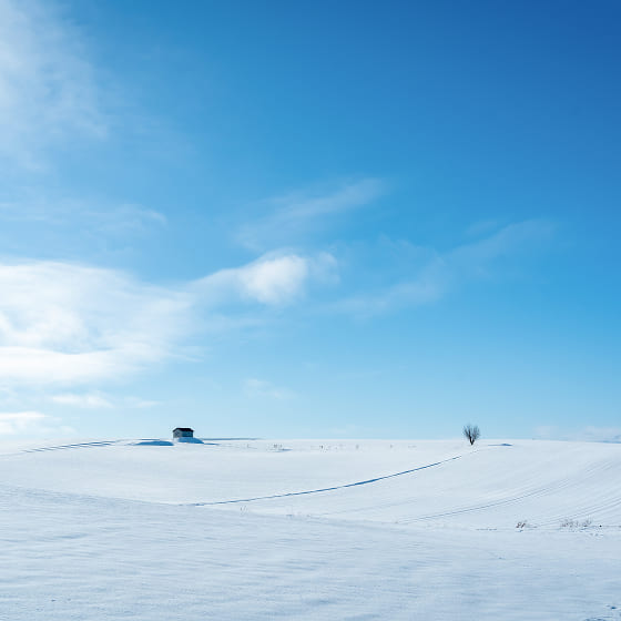 北海道の冬