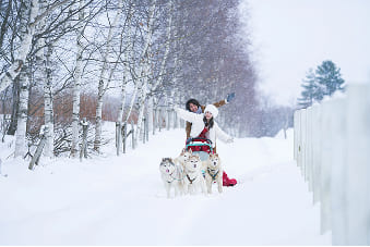 動物と撮影ギャラリー3