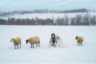 動物と撮影ギャラリー4