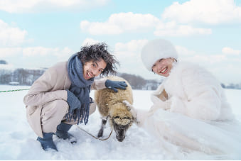 動物と撮影ギャラリー5