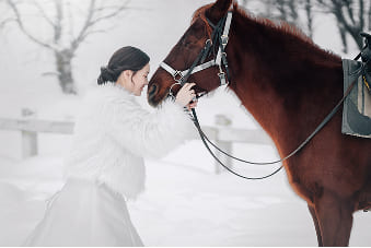動物と撮影ギャラリー7