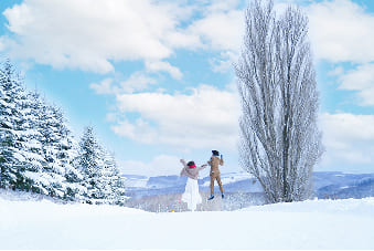 美瑛の丘ギャラリー8