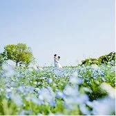 ネモフィラのウェディングフォトギャラリー1