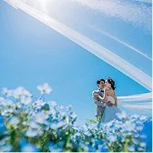 ネモフィラのウェディングフォトギャラリー2