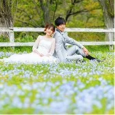 ネモフィラのウェディングフォトギャラリー4