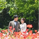 ポピーのウェディングフォトギャラリー4