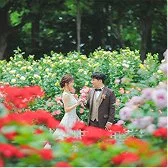 春バラのウェディングフォトギャラリー1