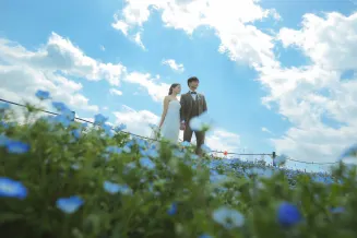 ネモフィラ撮影！