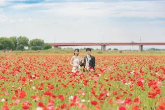 ハッピーポピー