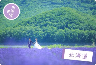 【ラベンダー】北海道