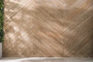 シンプル&モダンスタジオの写真6