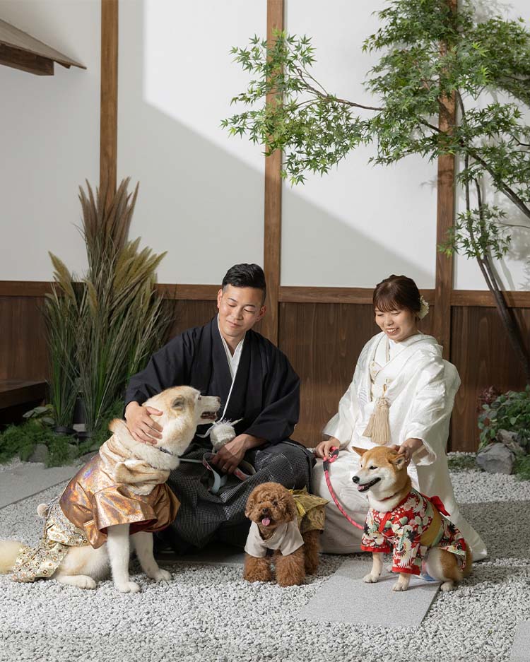 ペットと一緒にウェディングフォト＆前撮りが撮影できるスタジオ - 犬・猫・その他のペットもご相談ください。