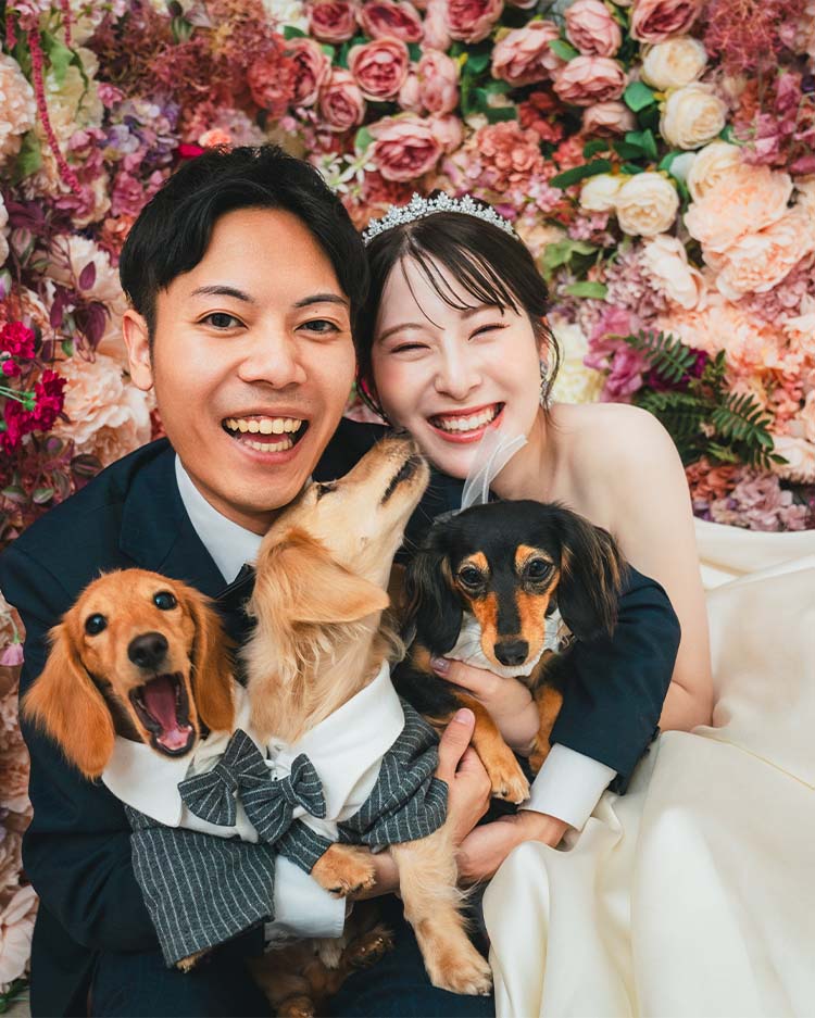 ペットと一緒にウェディングフォト＆前撮りが撮影できるスタジオ - 犬・猫・その他のペットもご相談ください。